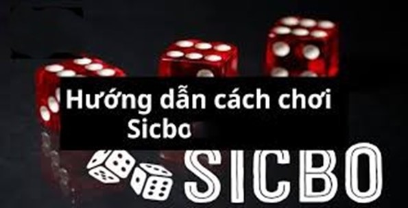 Cách hoạt động của trò chơi Sic Bo